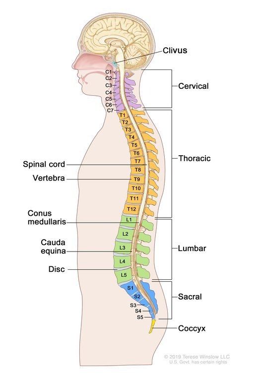 top rated spine specialists in Kenya